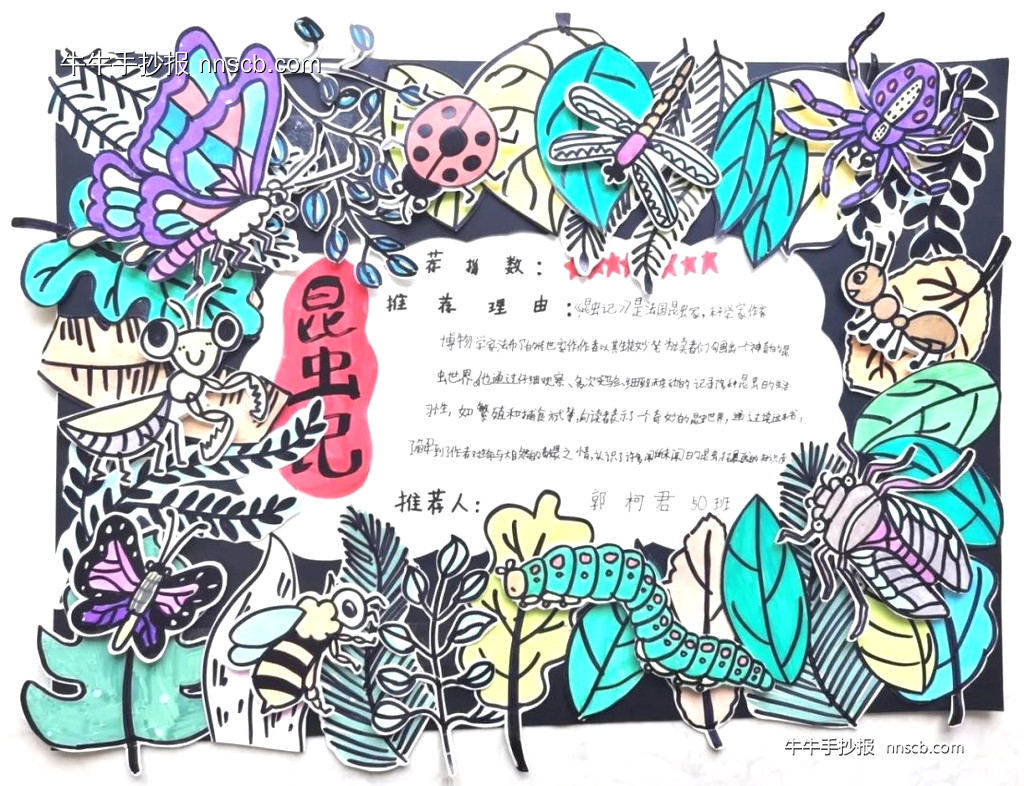 我最喜爱的一本书|昆虫记创意手抄报优秀作品展(3张)-第3张