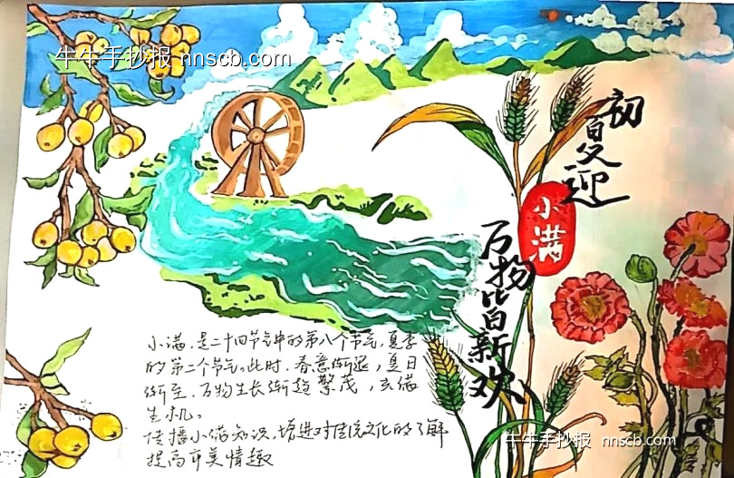 简单又漂亮的二十四节气小满手抄报-第2张