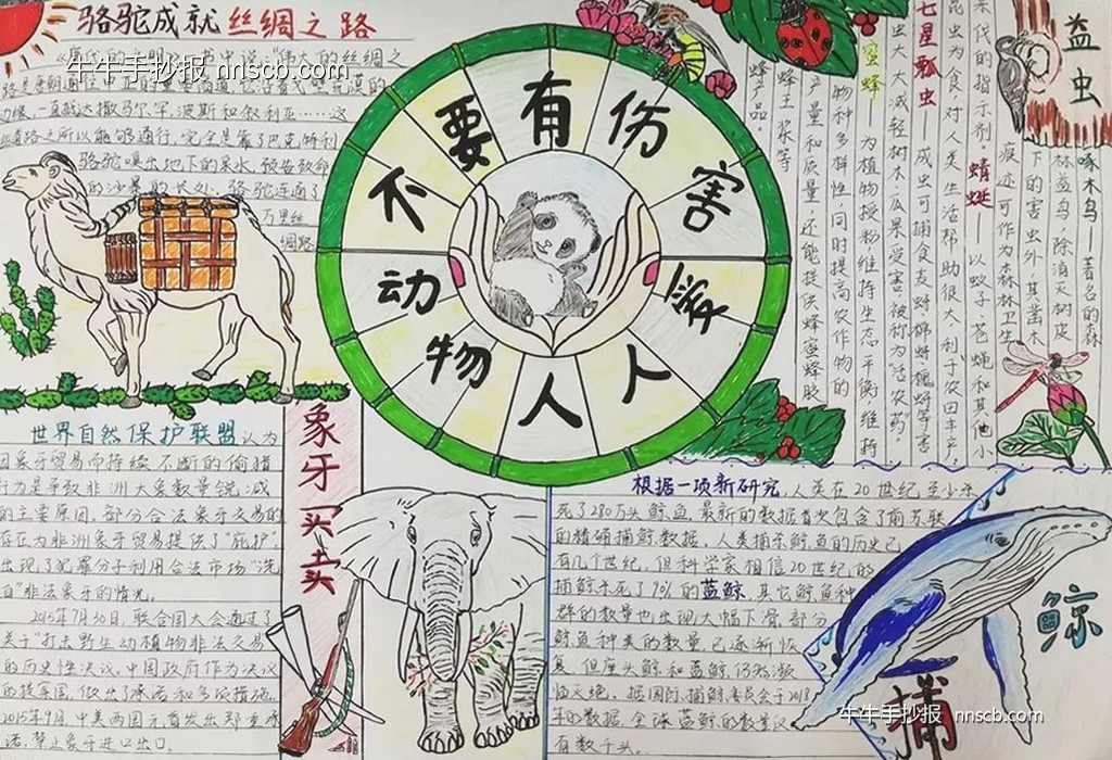 漂亮的大学生世界动物日手抄报6张-第4张