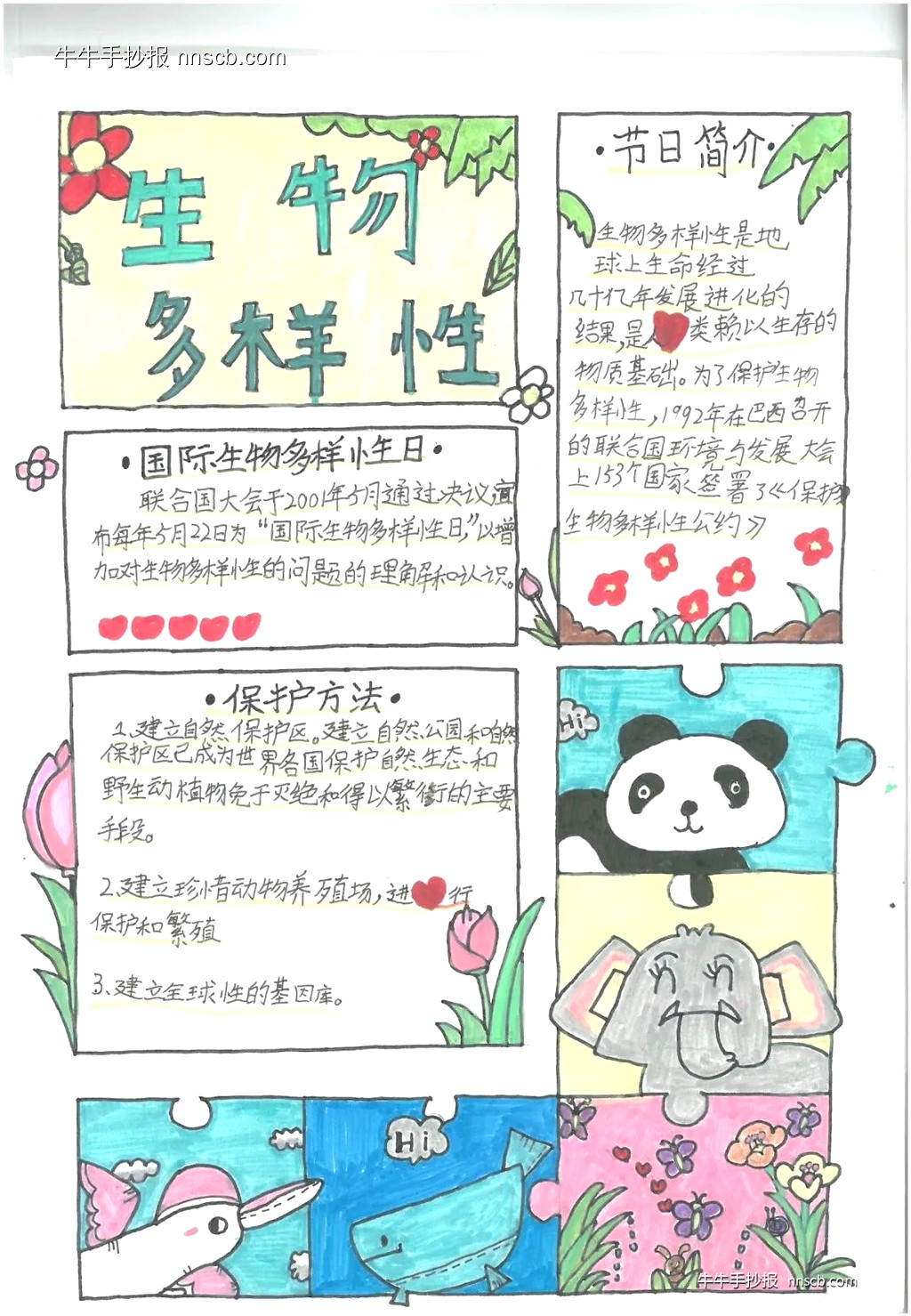 精美的四年级小学生国际生物多样性日手抄报7张-第7张