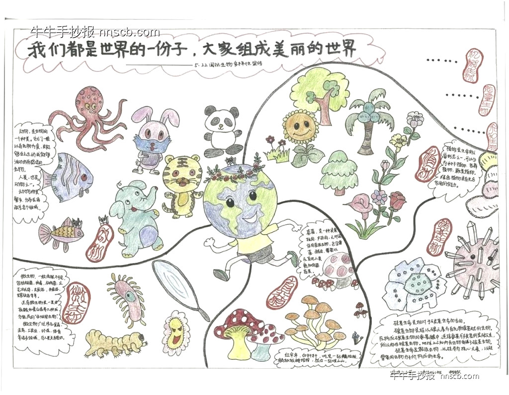 简单的小学二年级国际生物多样性日手抄报7张-第2张