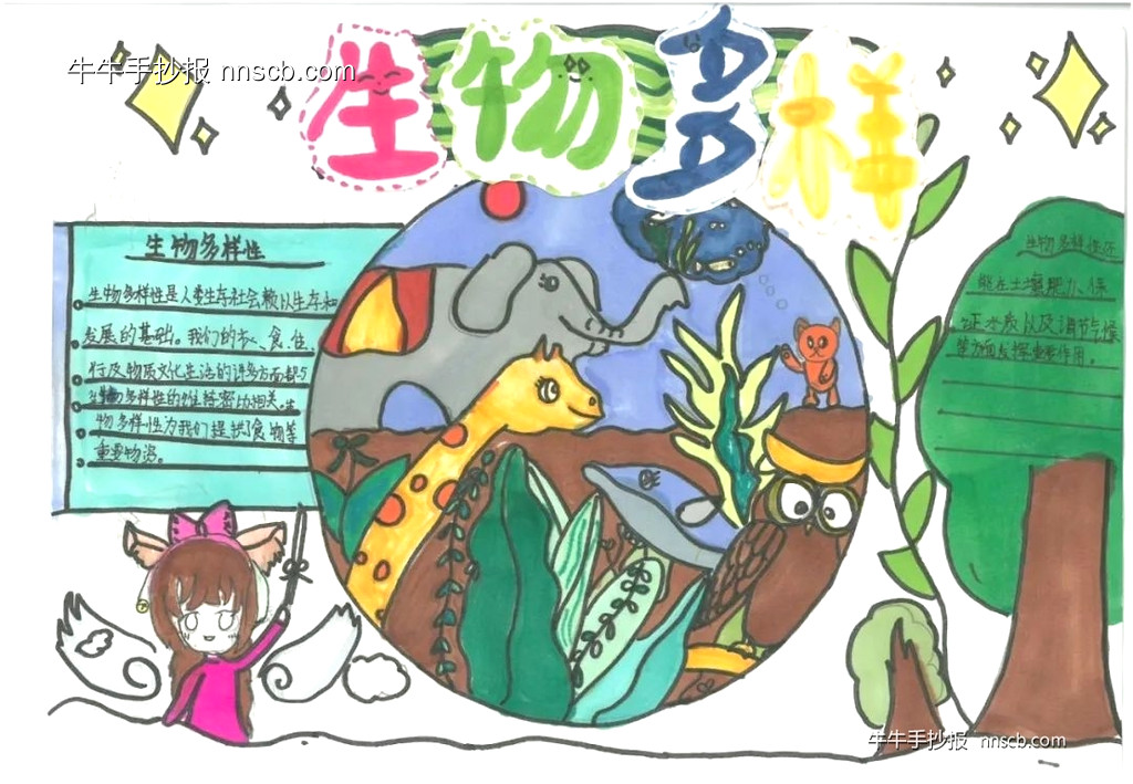 精美的四年级小学生国际生物多样性日手抄报7张-第5张