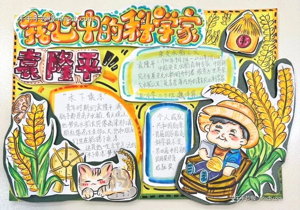 精美的杂交水稻之父袁隆平手抄报(6张)-第4张