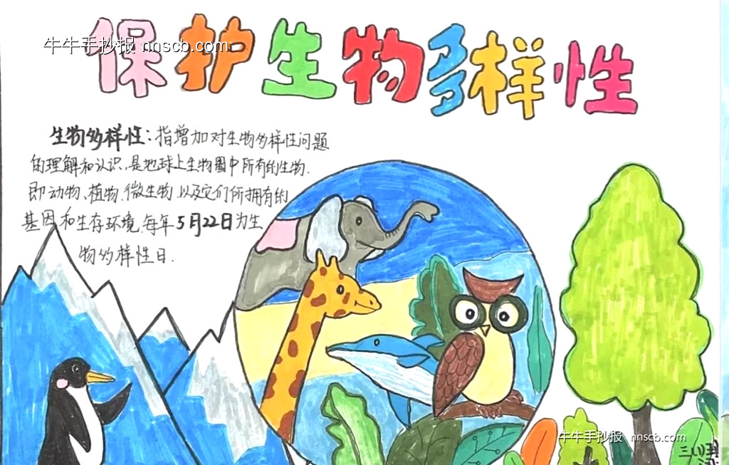 国际生物多样性日 | 小学三年级生物多样性手抄报7张-第4张