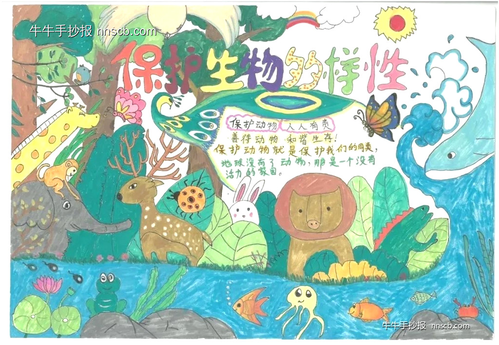 简单的小学二年级国际生物多样性日手抄报7张-第6张