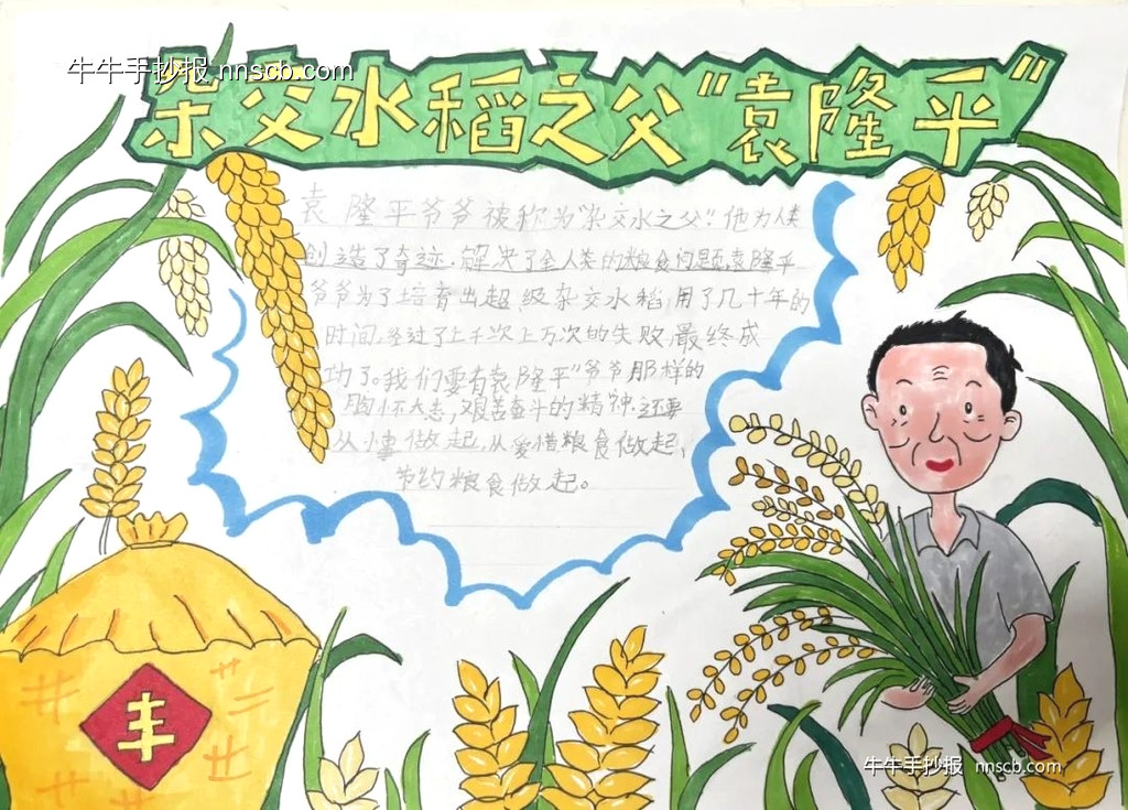 精美的杂交水稻之父袁隆平手抄报(6张)-第3张