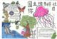 国际生物多样性日手抄报
