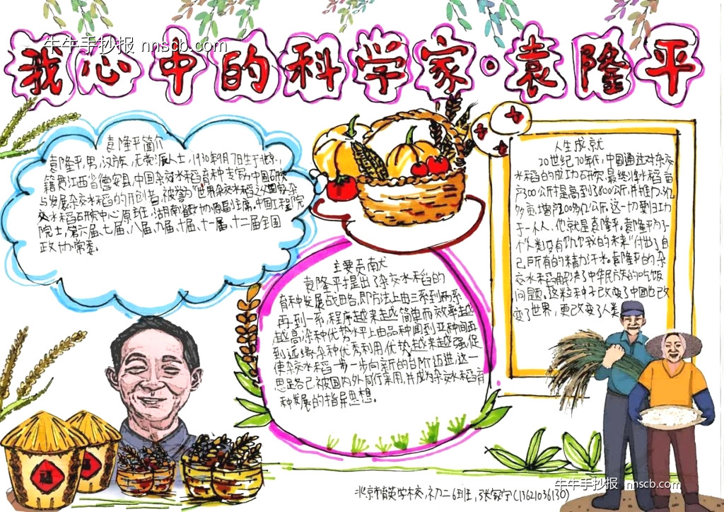 精美的杂交水稻之父袁隆平手抄报(6张)-第6张