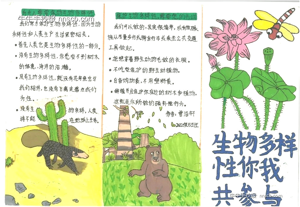 精美的四年级小学生国际生物多样性日手抄报7张-第2张