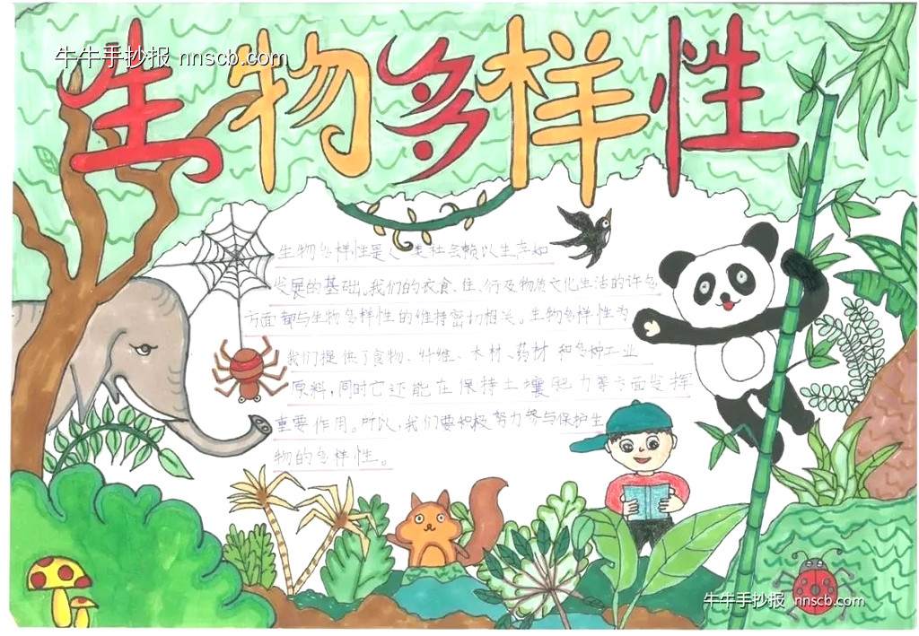 简单的小学二年级国际生物多样性日手抄报7张-第3张