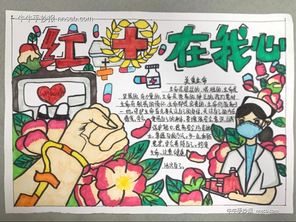 生命教育救灾身边|世界红十字日手抄报3张-第2张