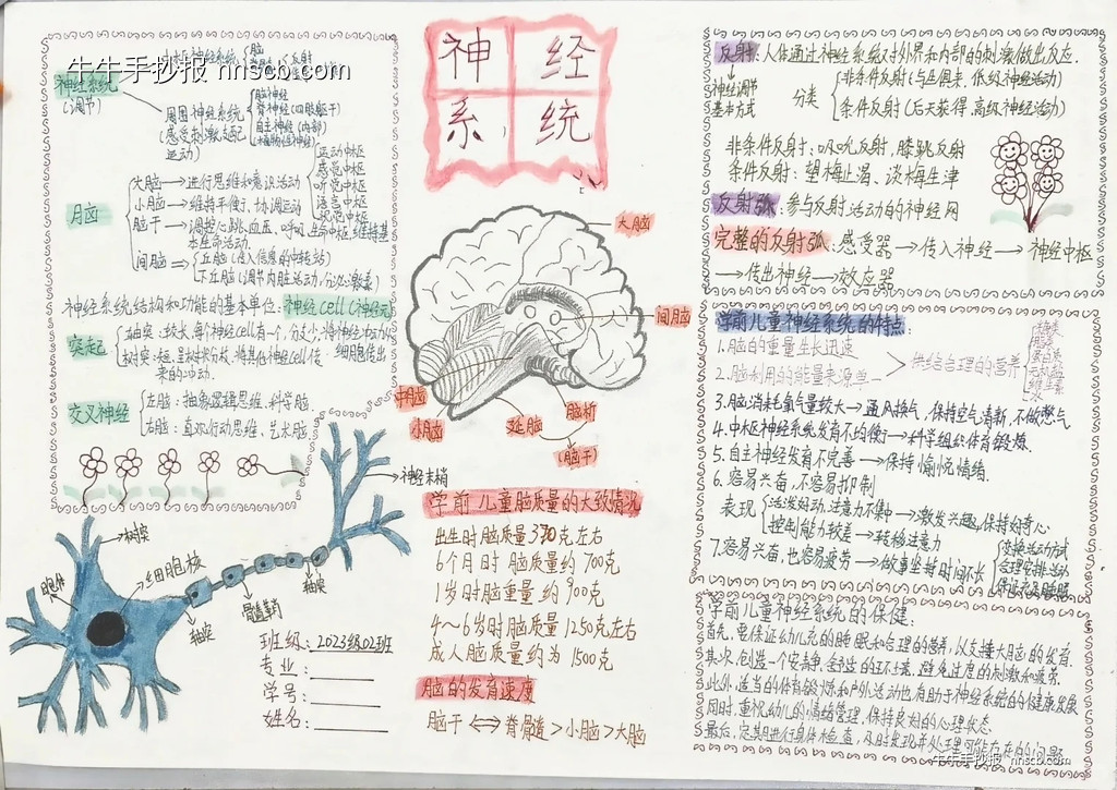 精美的9月16日中国脑健康日优秀手抄报-第1张