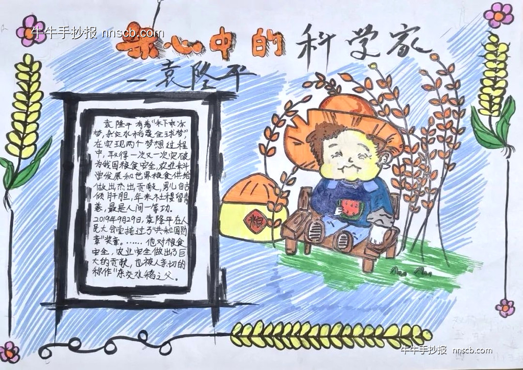 精美的杂交水稻之父袁隆平手抄报(6张)-第2张