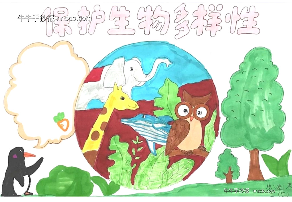 国际生物多样性日 | 小学三年级生物多样性手抄报7张-第6张