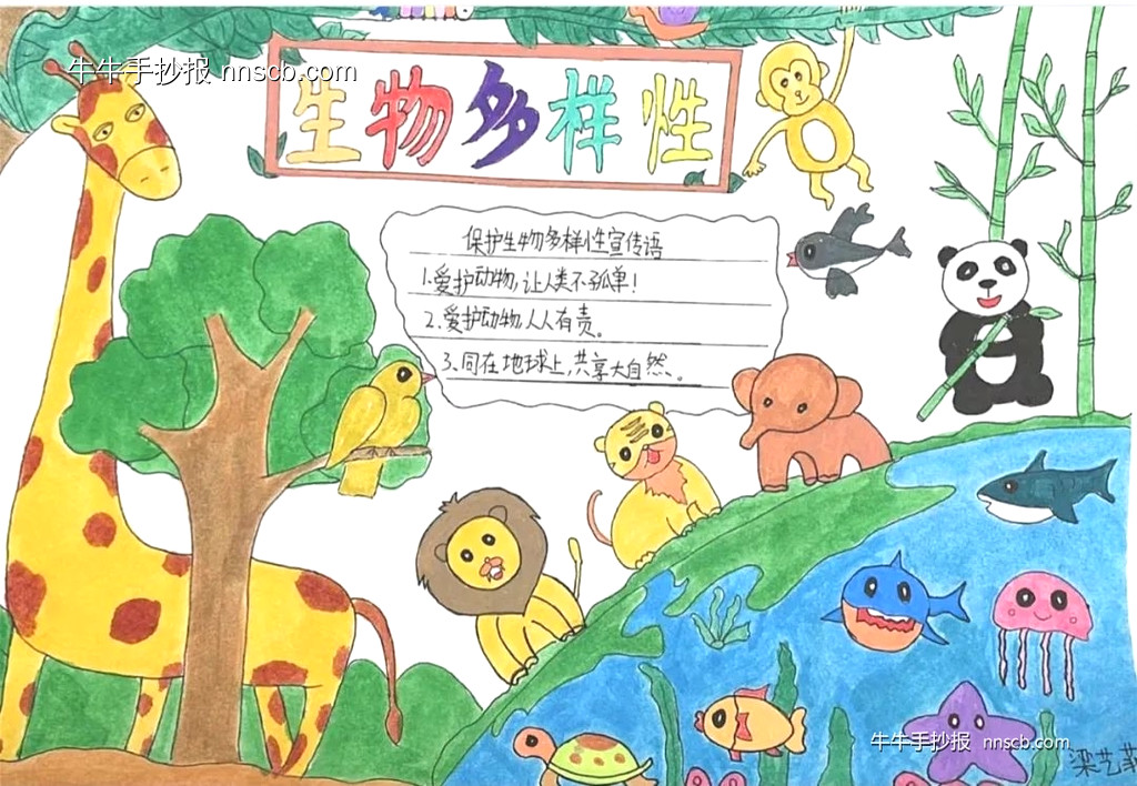 国际生物多样性日 | 小学三年级生物多样性手抄报7张-第2张