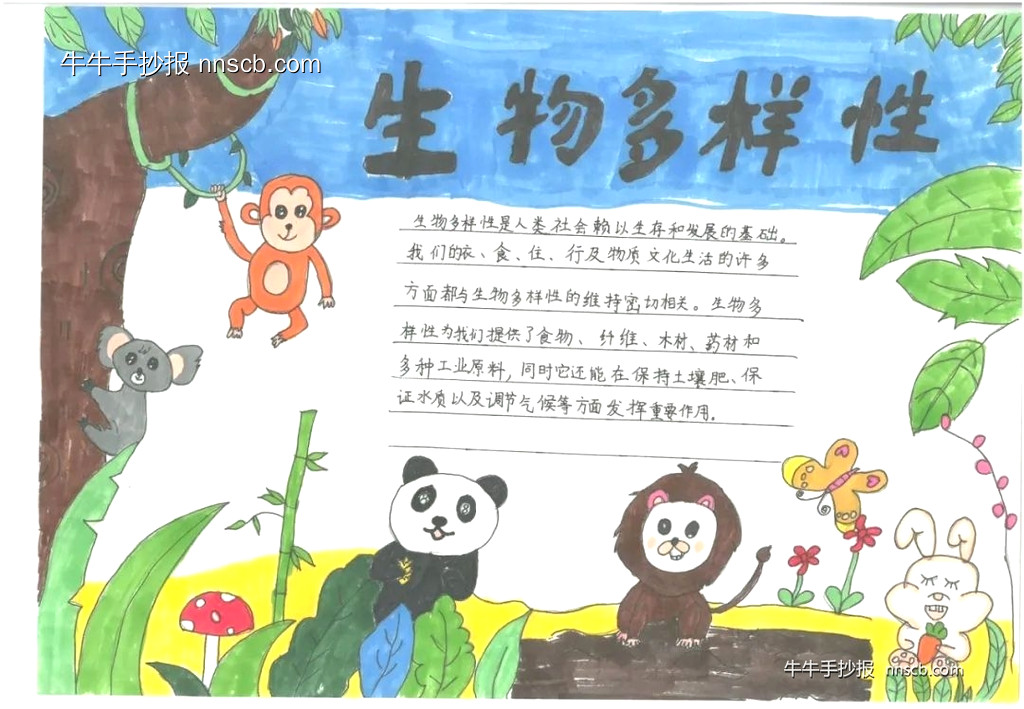 简单的小学二年级国际生物多样性日手抄报7张-第7张