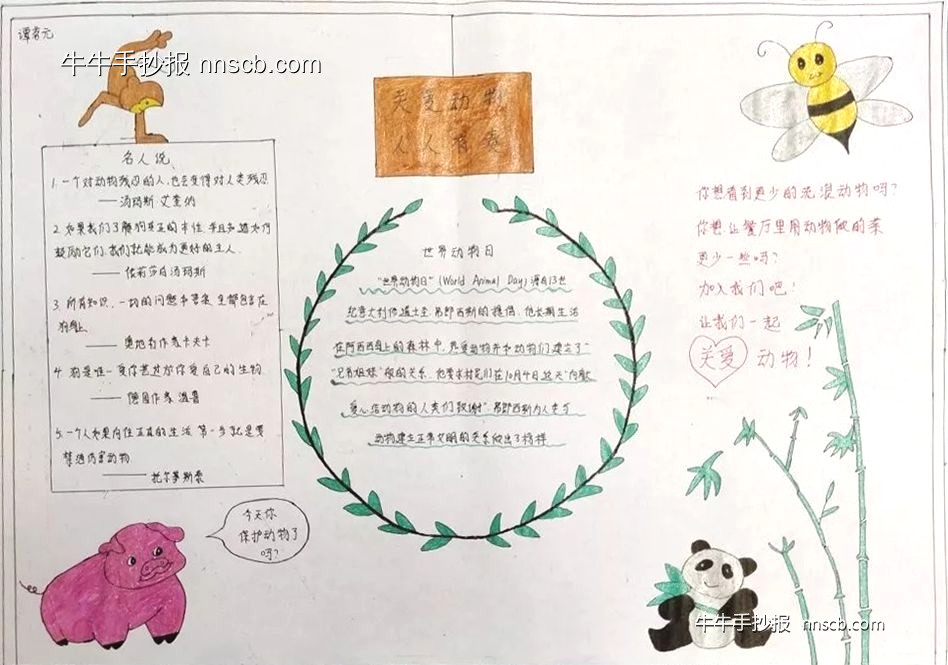 漂亮的大学生世界动物日手抄报6张-第5张
