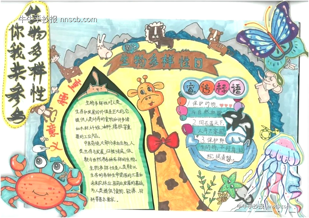 简单的小学二年级国际生物多样性日手抄报7张-第4张