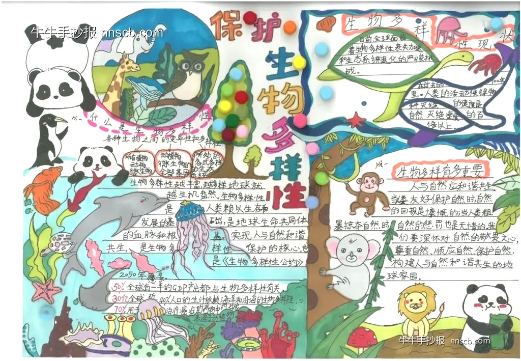 精美的四年级小学生国际生物多样性日手抄报7张-第3张