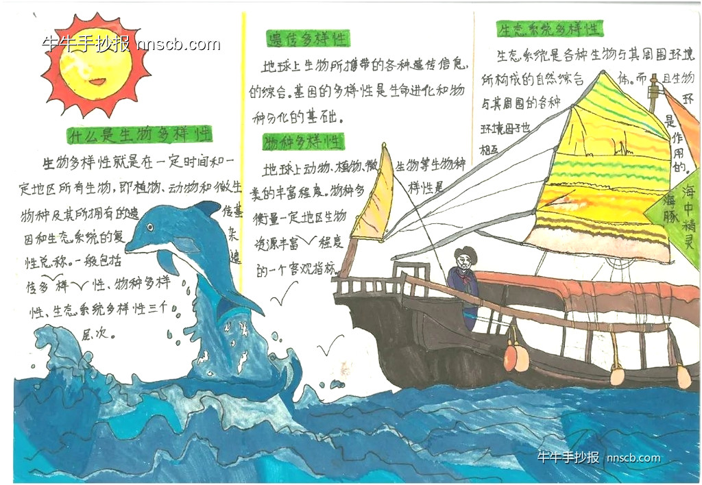 精美的四年级小学生国际生物多样性日手抄报7张-第6张