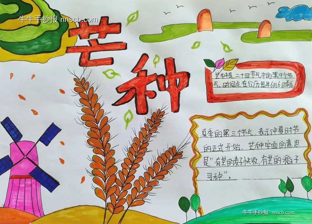 精美的小学二年级芒种节气手抄报4张-第3张