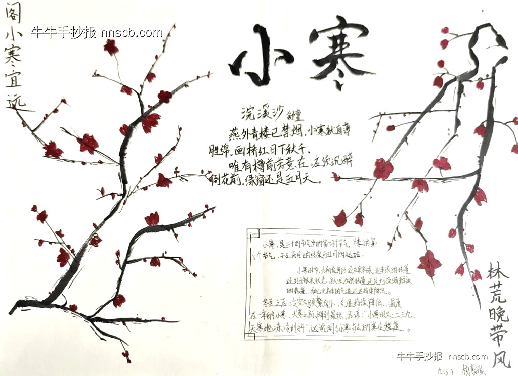 九年级二十四节气小寒手抄报7张-第4张