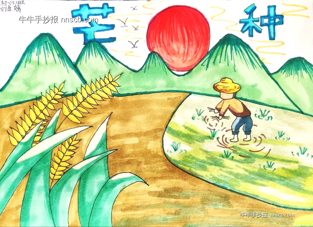 漂亮的初一二十四节气芒种手抄报8张-第4张