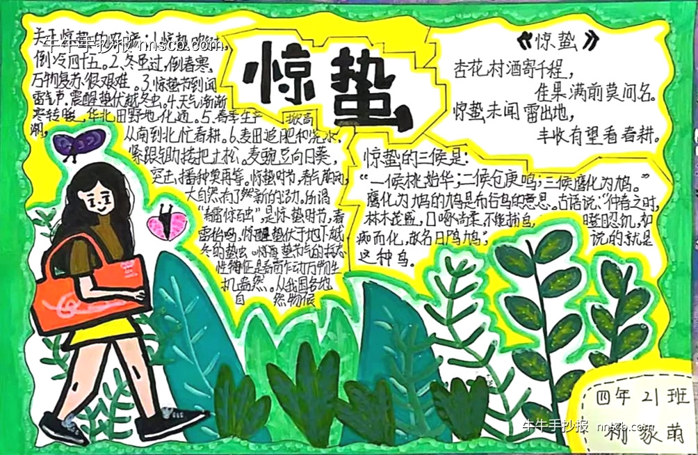 超漂亮的小学四年级二十四节气惊蛰手抄报3张-第2张