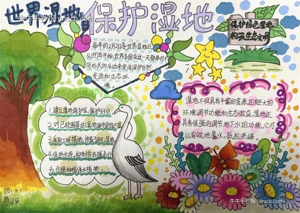 漂亮的小学四年级世界湿地日主题手抄报-第5张