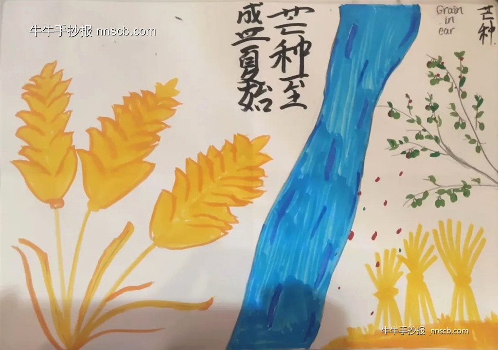 漂亮的初一二十四节气芒种手抄报8张-第3张