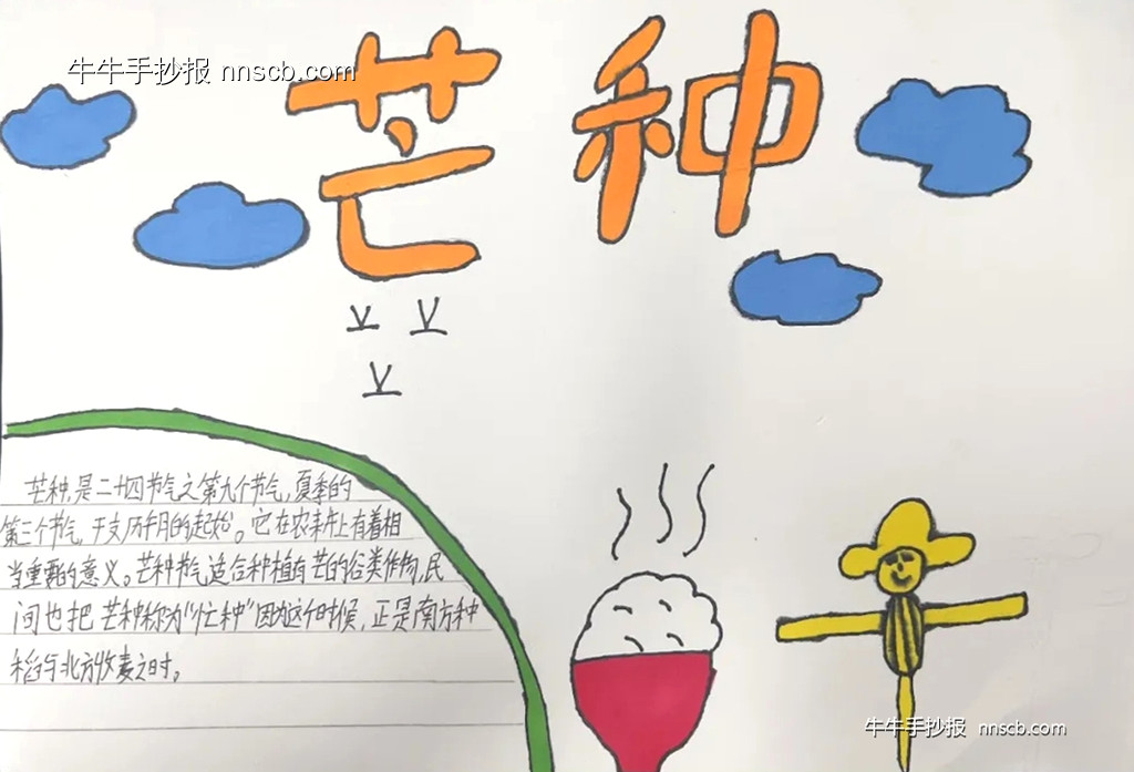 漂亮的初一二十四节气芒种手抄报8张-第7张