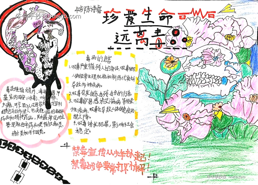 简单又好看的小学生禁毒手抄报5张-第3张