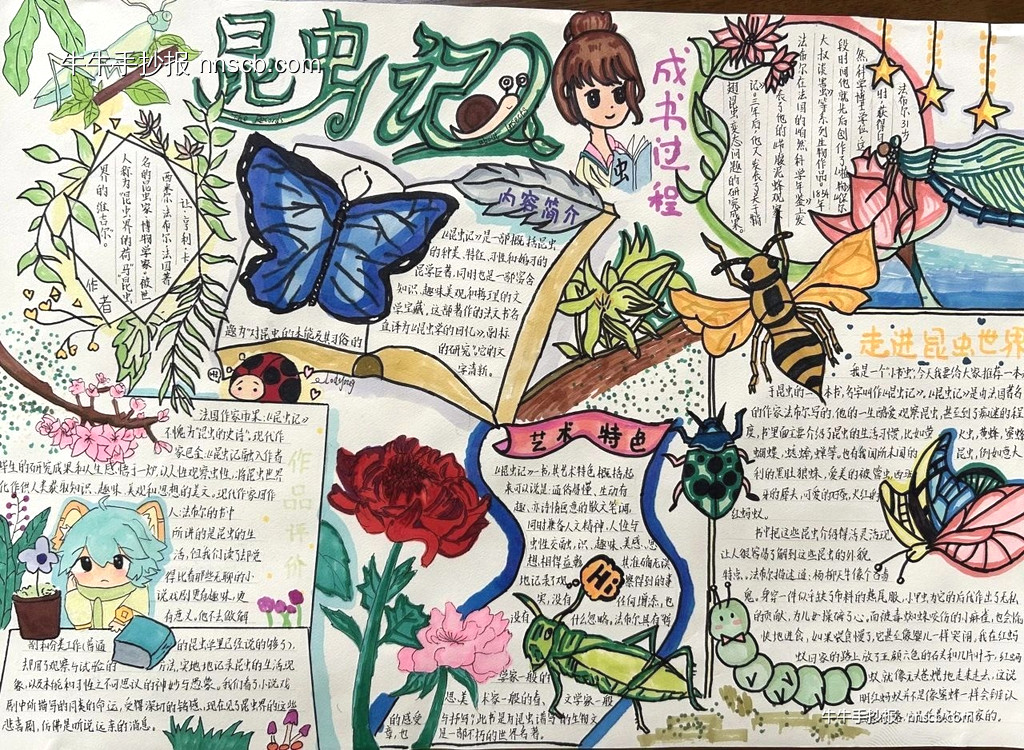 小学“我最爱的一本书”创意手抄报之昆虫记4张-第3张