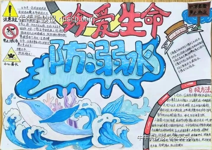 珍爱生命,预防溺水——安全教育手抄报4张-第3张