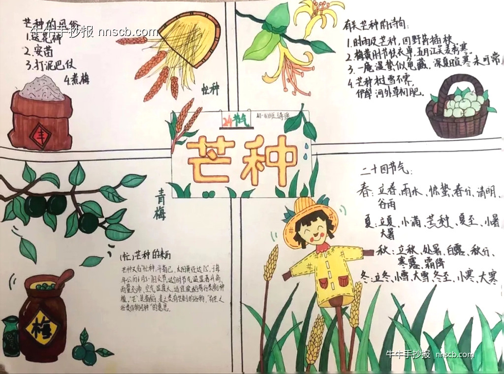 简单的初中初一年级芒种节气手抄报7张-第7张