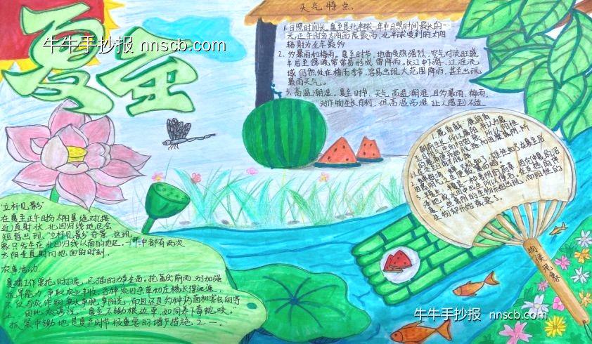 简单又漂亮的高二二十四节气夏至手抄报2张-第2张