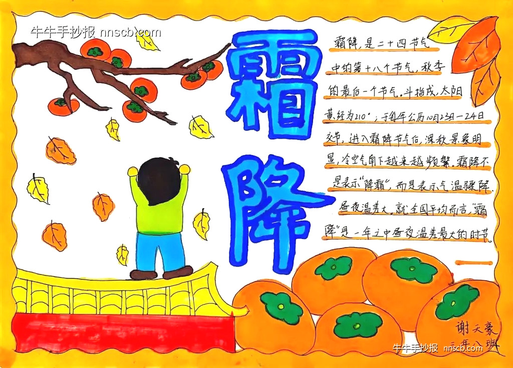 简单又漂亮的小学三年级霜降节气手抄报精选8张-第6张