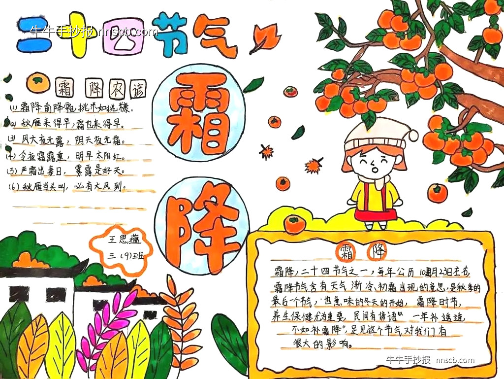 简单又漂亮的小学三年级霜降节气手抄报精选8张-第8张