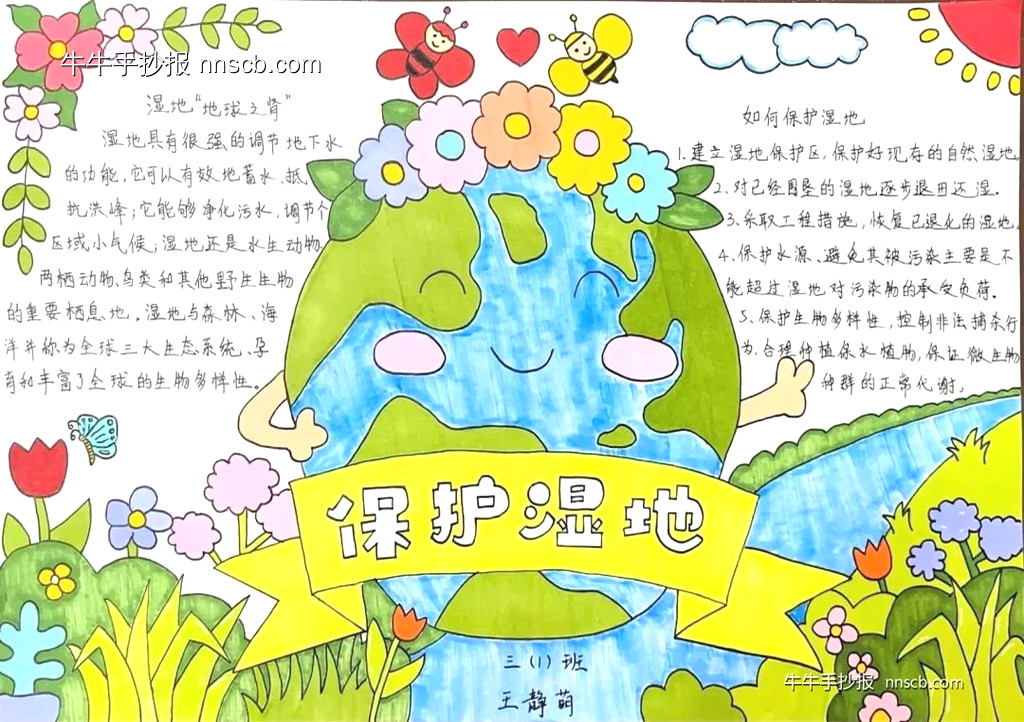 保护湿地 | 小学三年级世界湿地日手抄报7张-第3张
