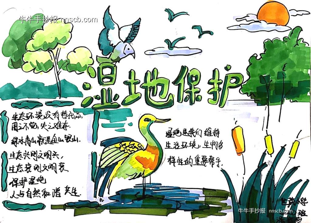 保护湿地 | 小学三年级世界湿地日手抄报7张-第2张