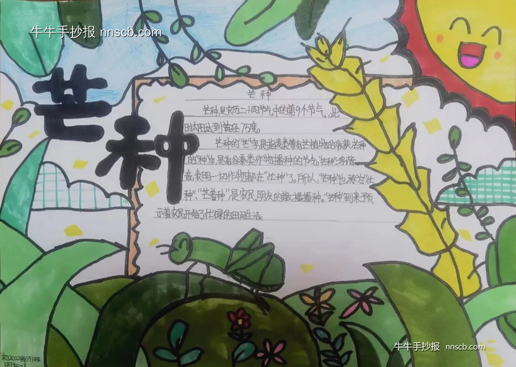 简单的初中初一年级芒种节气手抄报7张-第5张