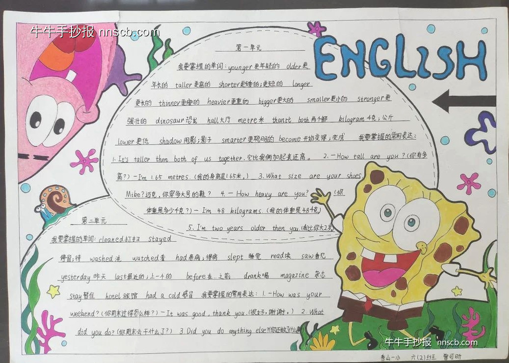 简单好画的小学六年级“人物/事物特征描述”英语手抄报7张-第2张