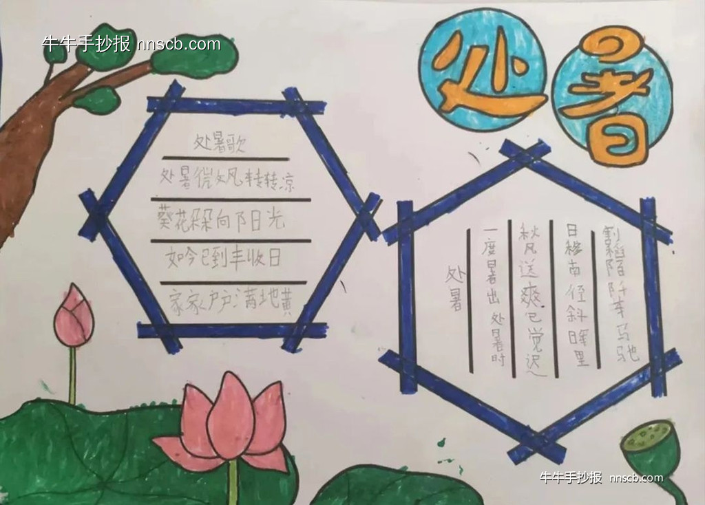 精美的小学三年级二十四节气之处暑手抄报6张-第4张