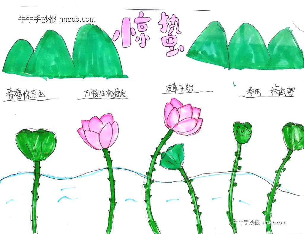 漂亮的小学生二十四节气惊蛰手抄报6张-第6张
