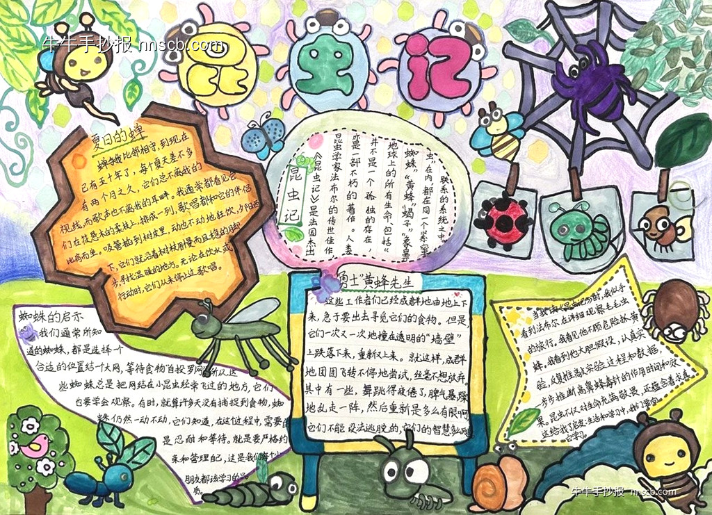 小学“我最爱的一本书”创意手抄报之昆虫记4张-第2张