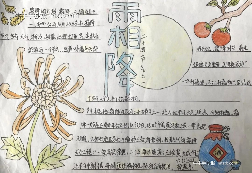 简单又漂亮的小学六年级霜降手抄报2张-第2张