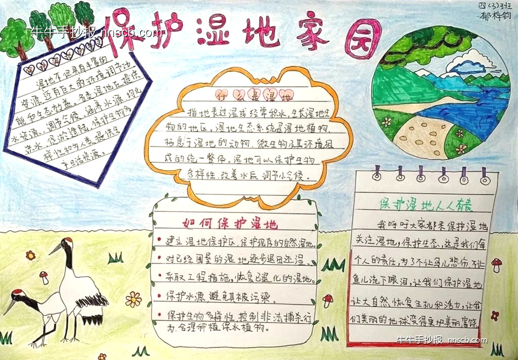 漂亮的小学四年级世界湿地日主题手抄报-第3张