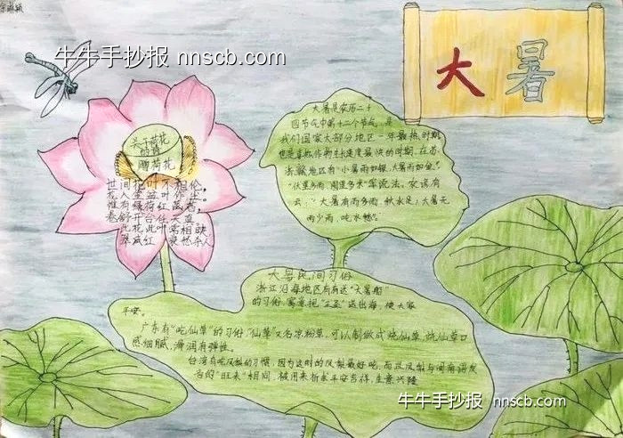 漂亮的小学四年级二十四节气大暑手抄报4张-第4张