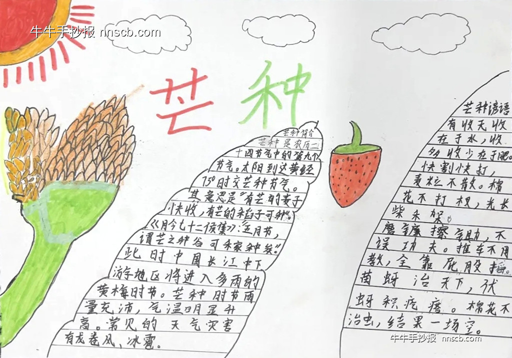 初中初一年级芒种手抄报简单又漂亮7张-第4张