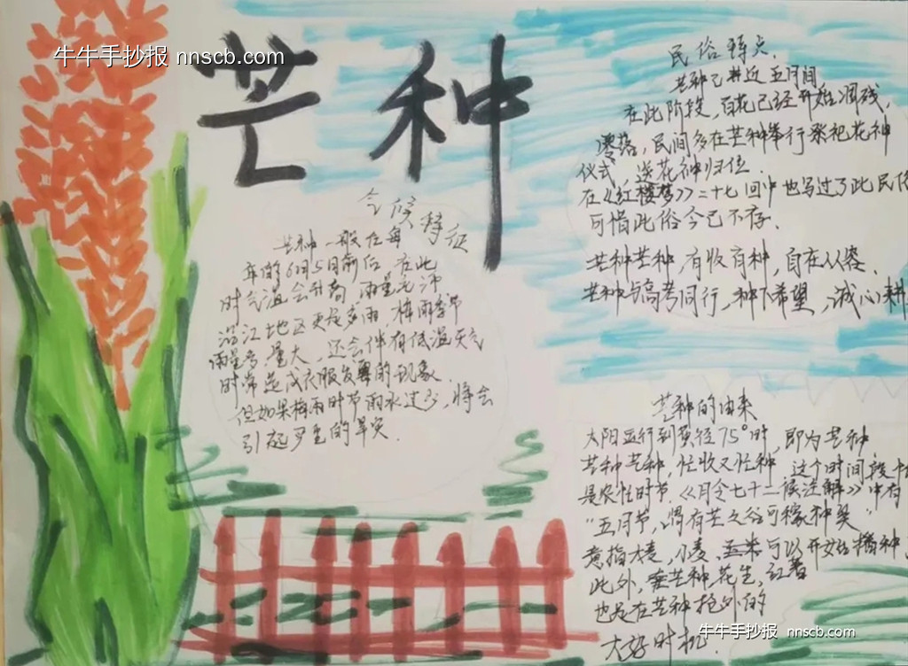 初中初一年级芒种手抄报简单又漂亮7张-第6张